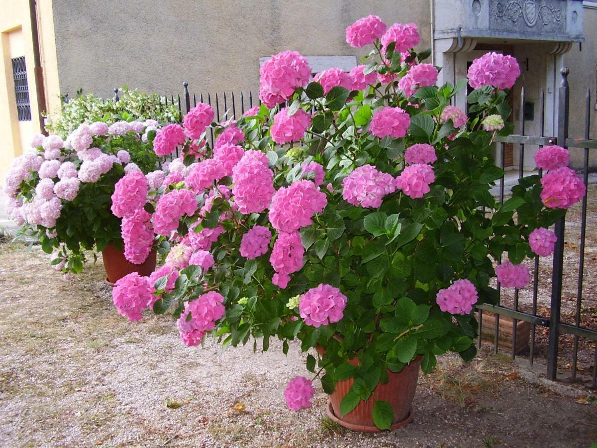 Agriturismo Dea Valfabbrica Kültér fotó